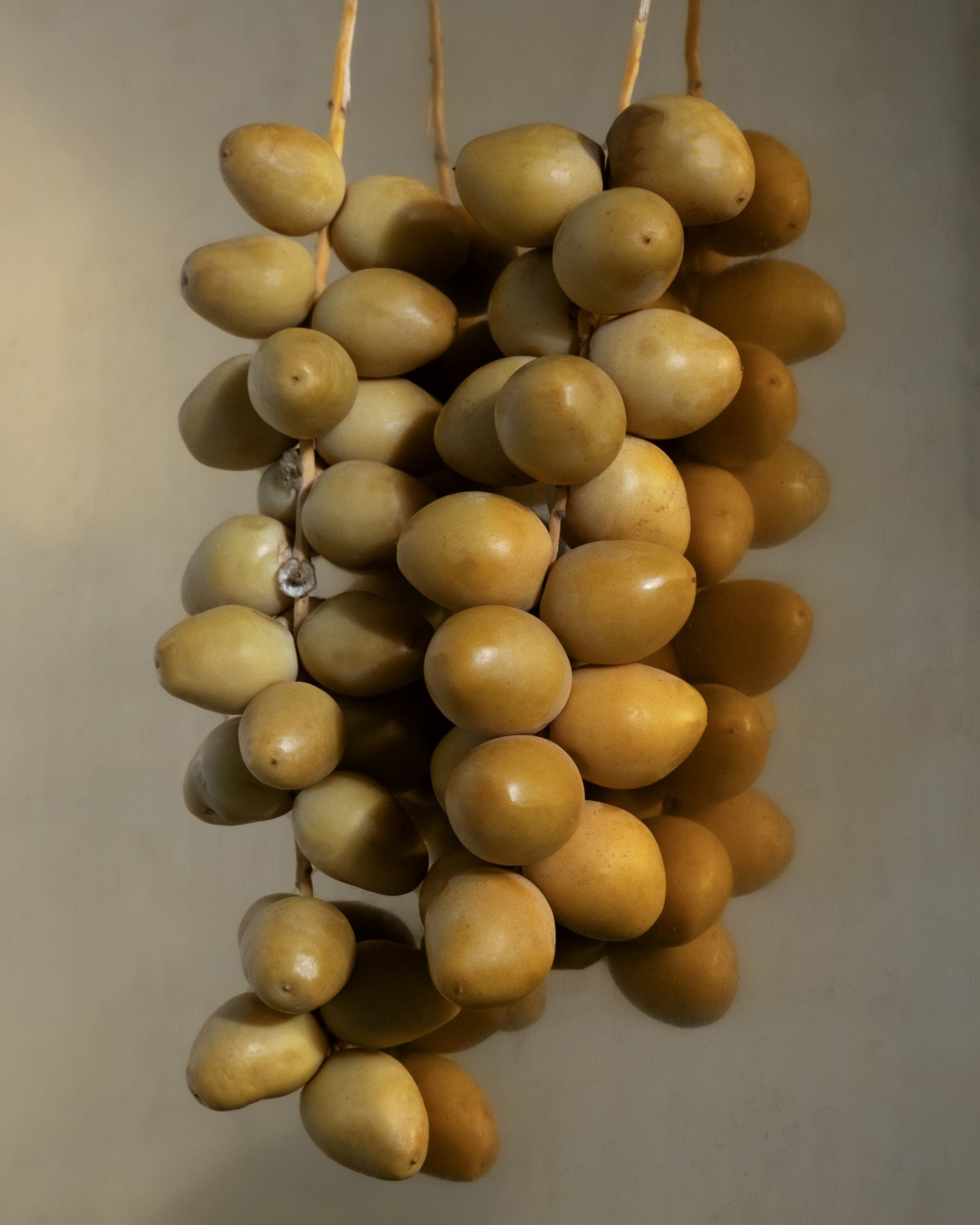 Fresh, organic dates. A key ingredient in NOMAD LIP BALM - COCONUT