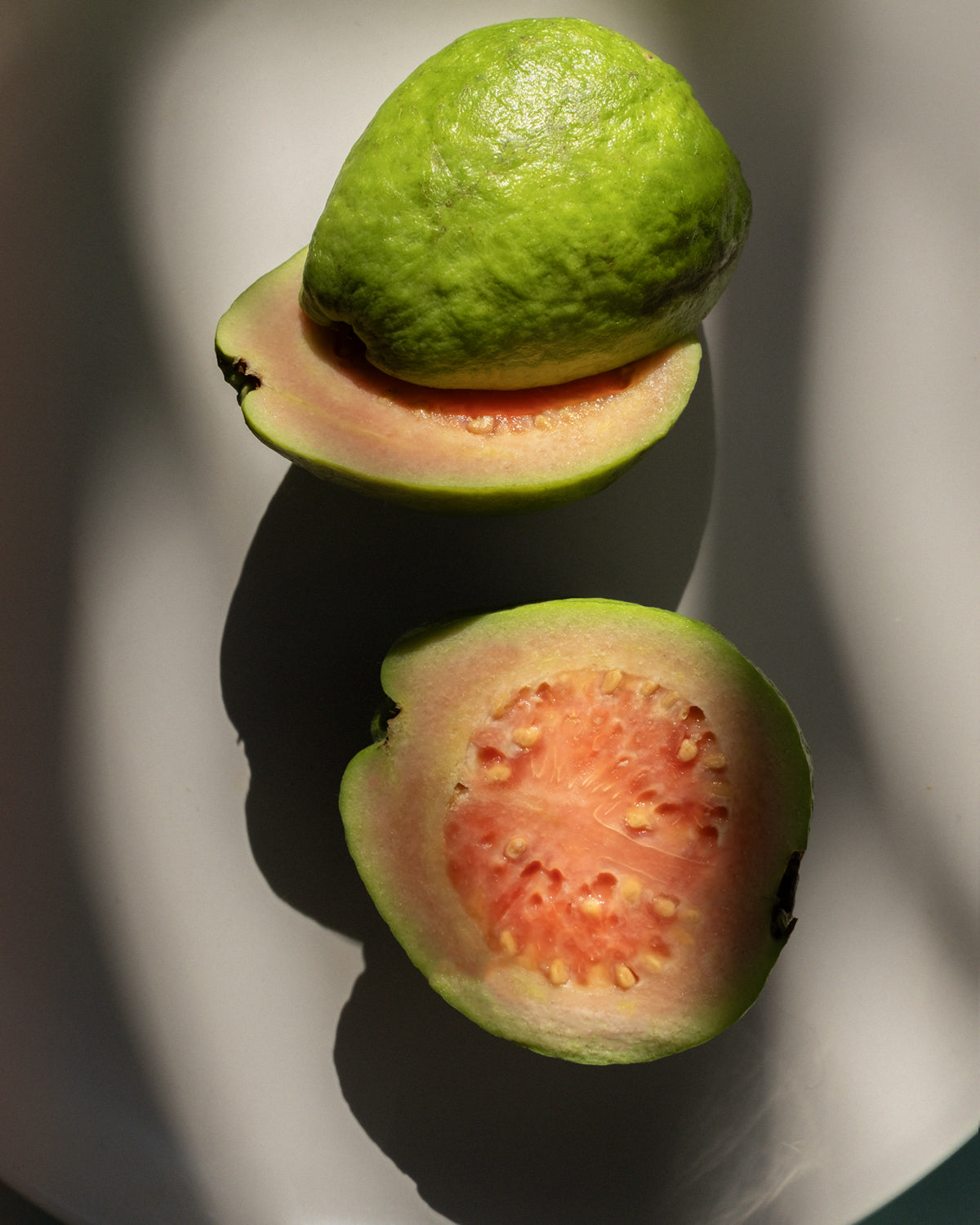 Fresh pink guava - A nmoisturising ingredient in NOMAD FACE CREAM -GUAVA