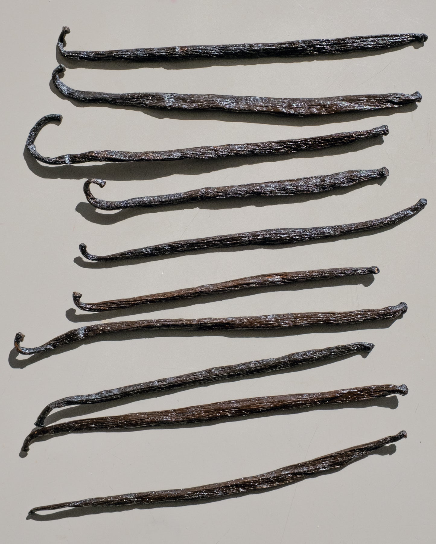 Organic Madagascan vanilla pods - a key scented ingredient in NOMAD FACE CREAMS.